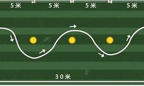 足球单招踢准_足球体育单招绕杆距离